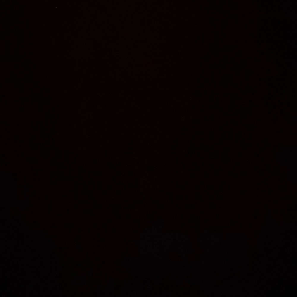 Meet your Posher, Mikayla